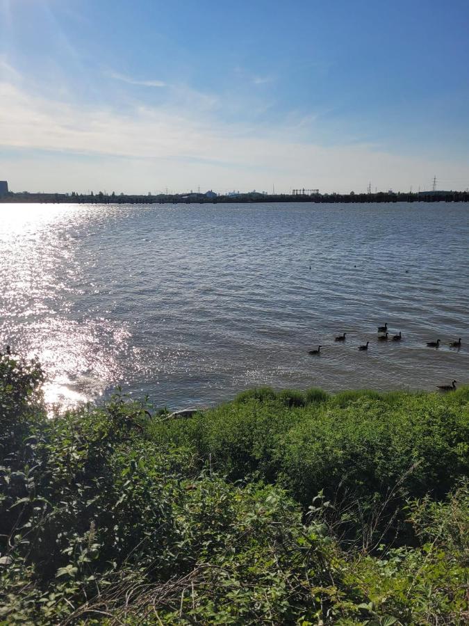 Fantastic Studio, Private Bathroom And Mini Kitchen. Thamesmead  Экстерьер фото